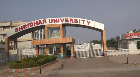 Shridhar University