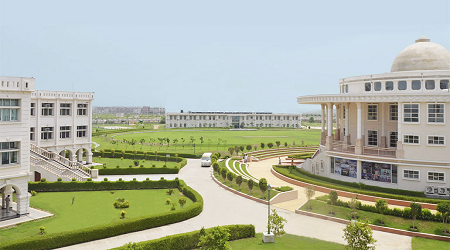 Noida International University