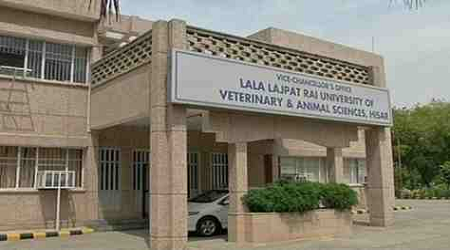 Lala Lajpat Rai University of Veterinary & Animal Sciences