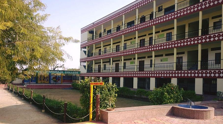 Amer Maharaja College, Jaipur