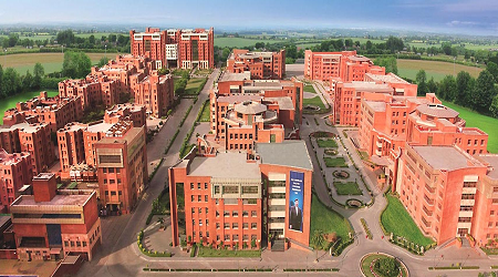 Amity Institute of English Studies and Research, Noida