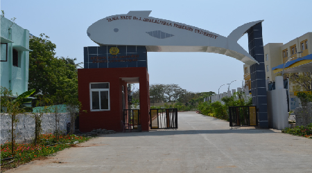 Tamil Nadu Fisheries University