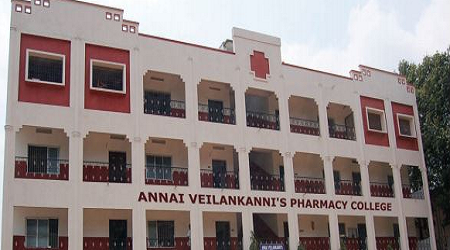 Annai Veilankanni's College of Nursing, Chennai