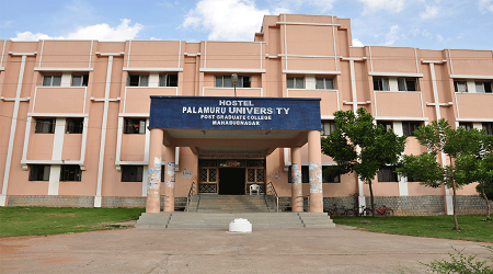 Palamuru University