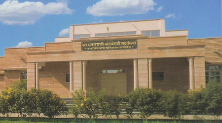 Shri Dhanraj ji Shri Chand ji Badamia College of Professional Studies, Pali