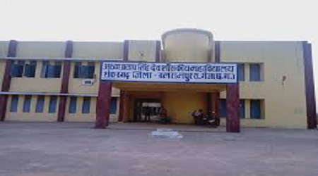 Arun Pratap Singh Dev Government College, Shankargarh