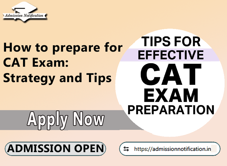 How to prepare for CAT Exam: Strategy and Tips