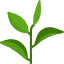 Assam